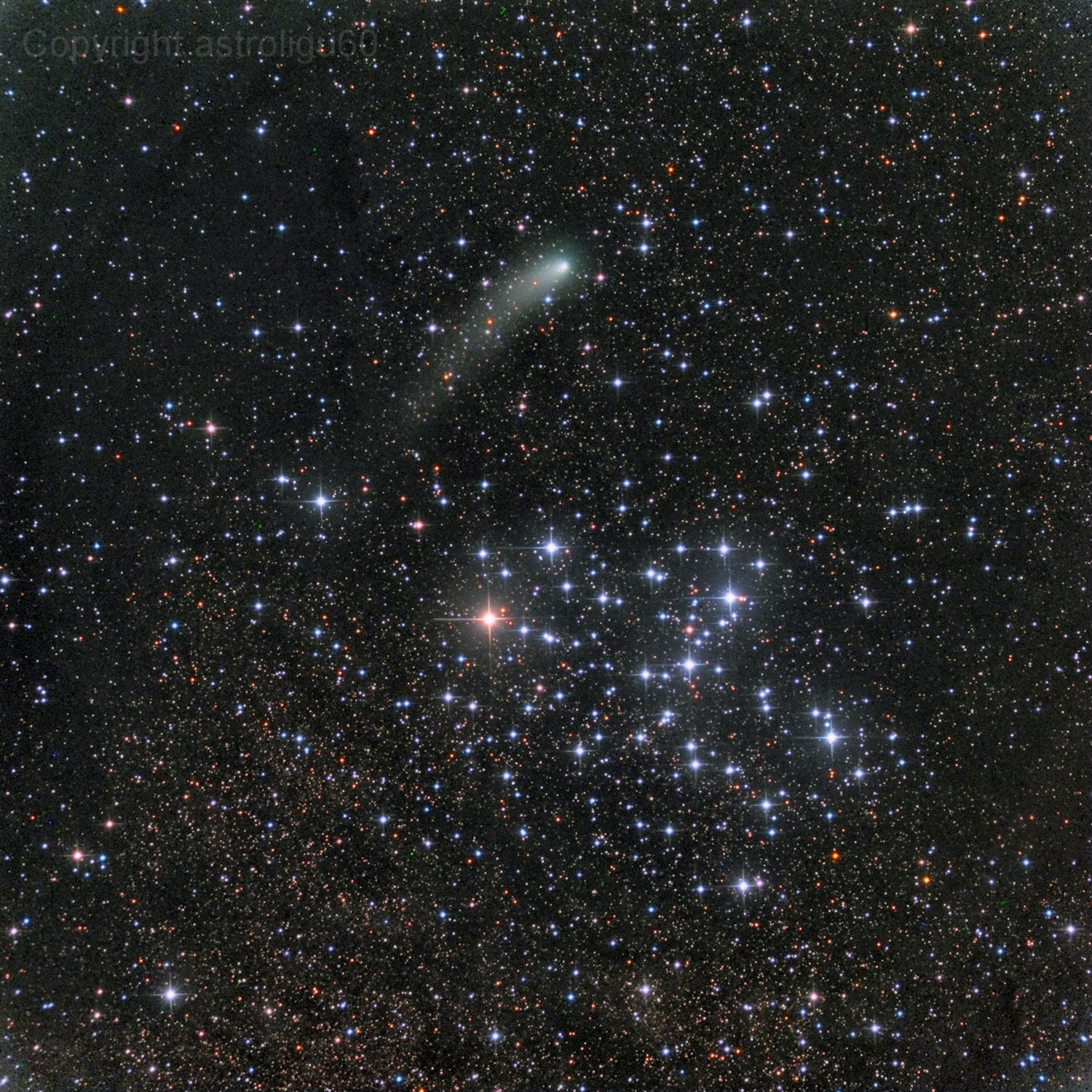 Messier 6 e o cometa Siding Spring