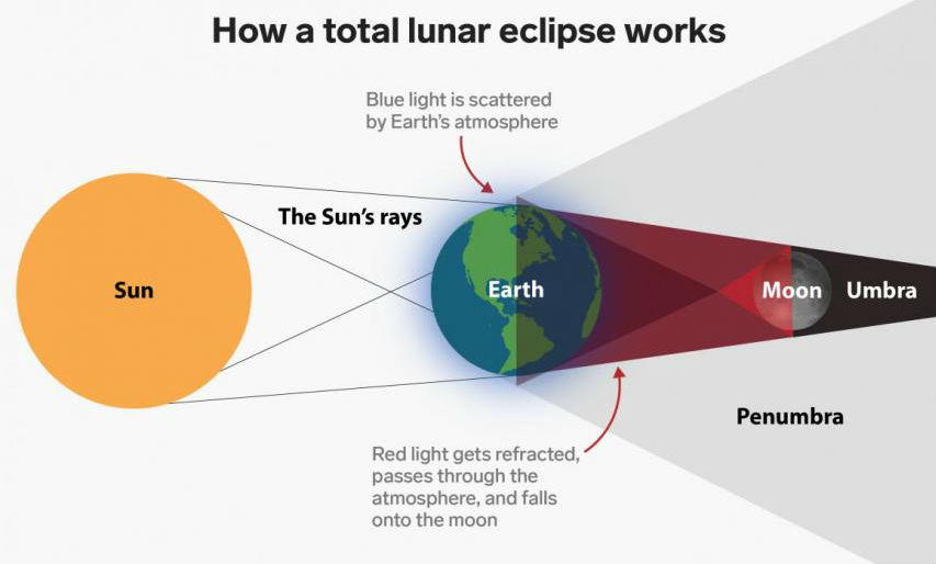 Zonas de sombra e penumbra nunha eclipse de lúa. Fonte: NASA / Bussiness Insider.