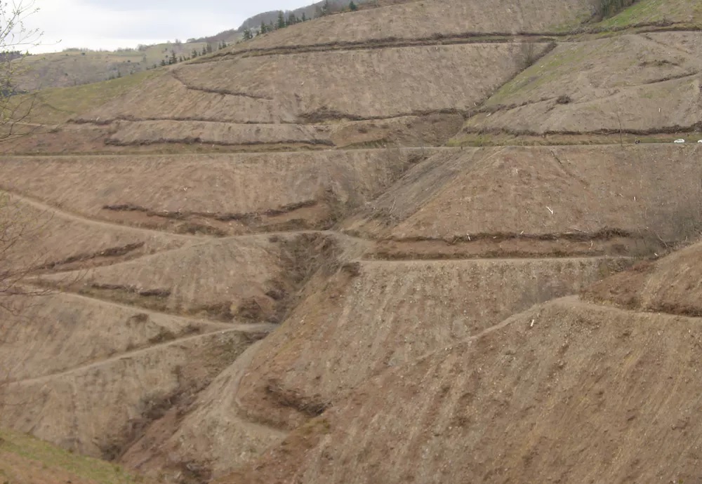 Paisaxe tras unha talla nun monte do País Vasco. Fonte: Group of Stream Ecology/UPV/EHU.