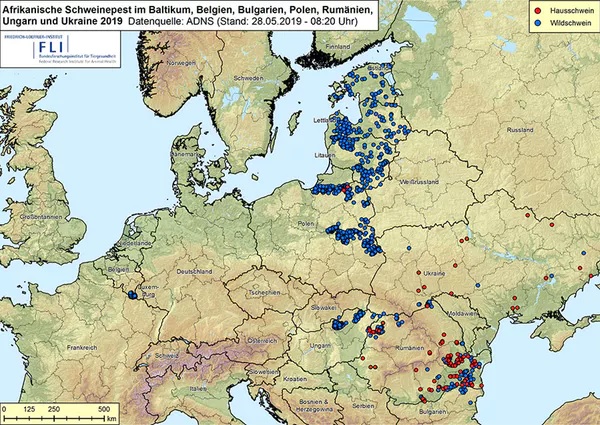Mapa de expansión da peste porcina en Europa do leste en 2019. En vermello, gando doméstico, e en azul, animais salvaxes.
