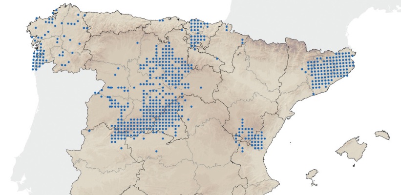 Áreas con expansións de visóns no territorio español. Fonte: Miteco.
